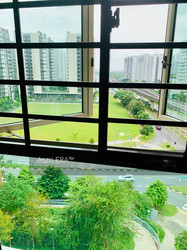 Blk 665C Punggol Drive (Punggol), HDB 3 Rooms #191390662